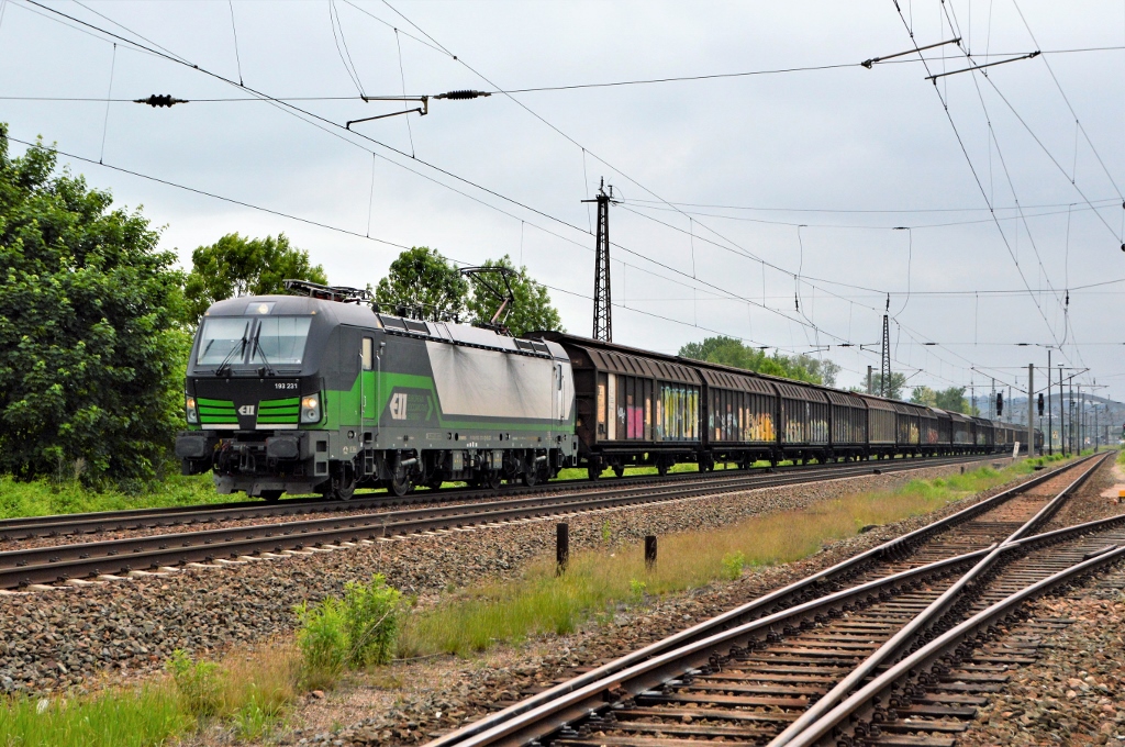 G�terverkehr international in Naumburg. ELL 193 231 mit einem G�terzug von Rostock- Seehafen nach Italien verl�sst durchf�hrt am 17.05.2018 Naumburg.