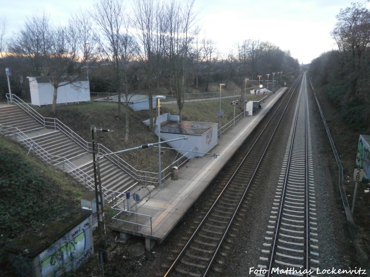 Halle (Saale), S-Bahnhof Dessauer Brcke am 27.1.15