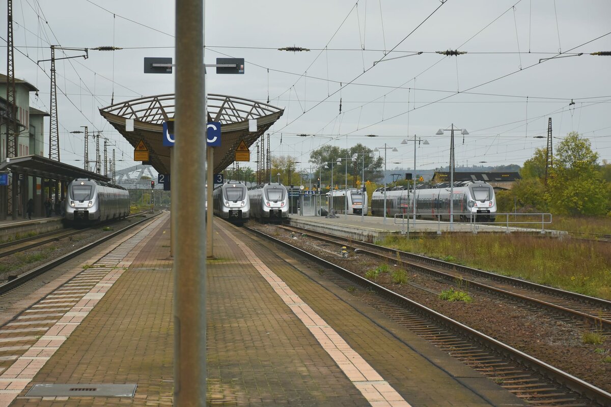 Hamsterparade am 24.10.2023 in Naumburg (S) Hbf. (Foto: Maik Köhler)