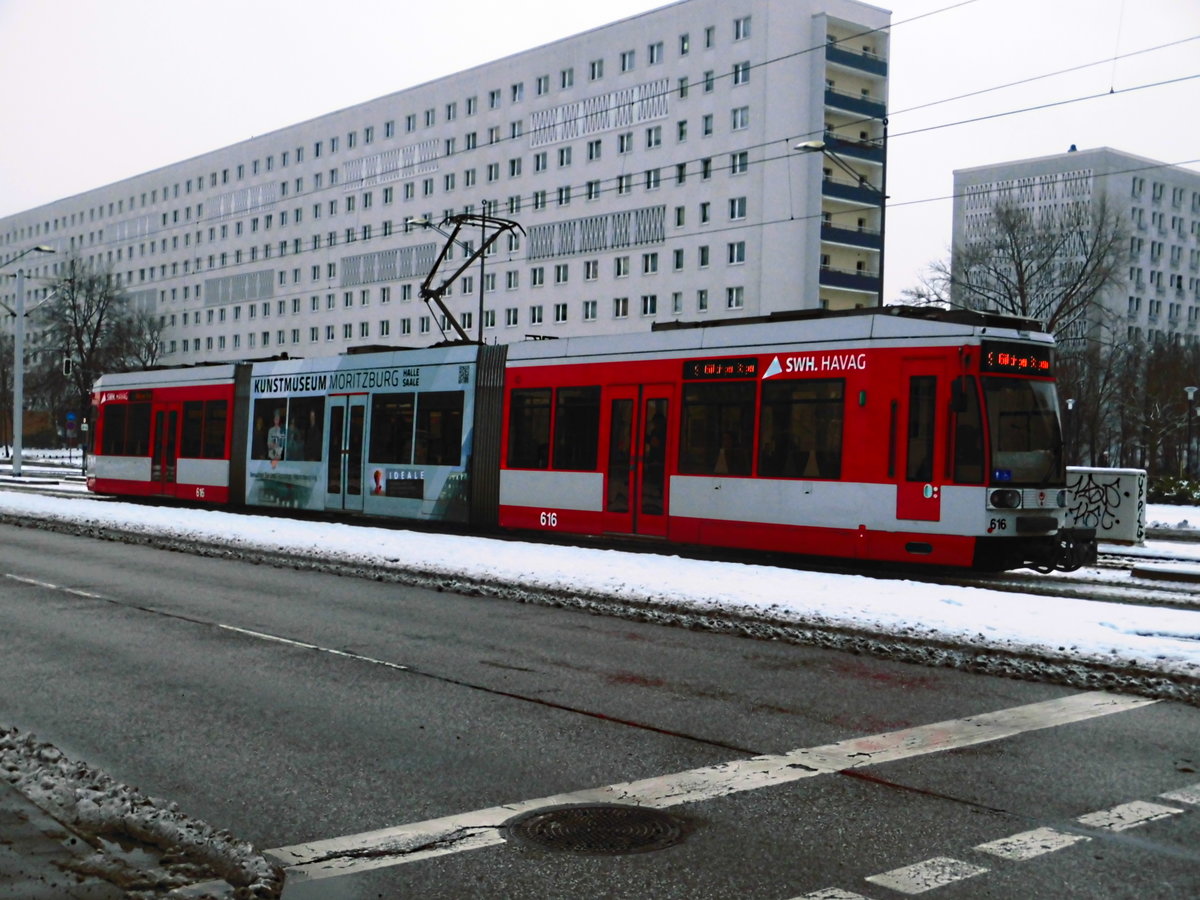 HAVAG Wagen 616 bei der Einfahrt in die Haltstelle Halle,Schwimmhalle am 7.3.18