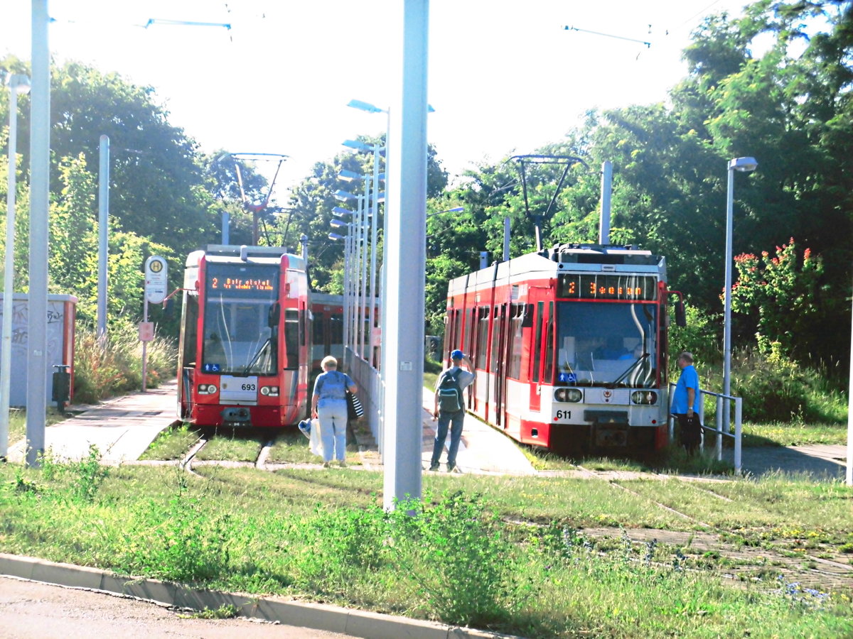 HAVAG Wagen 693 und 611 an der Endhaltestelle Halle, Soltauer Strae am 19.6.17