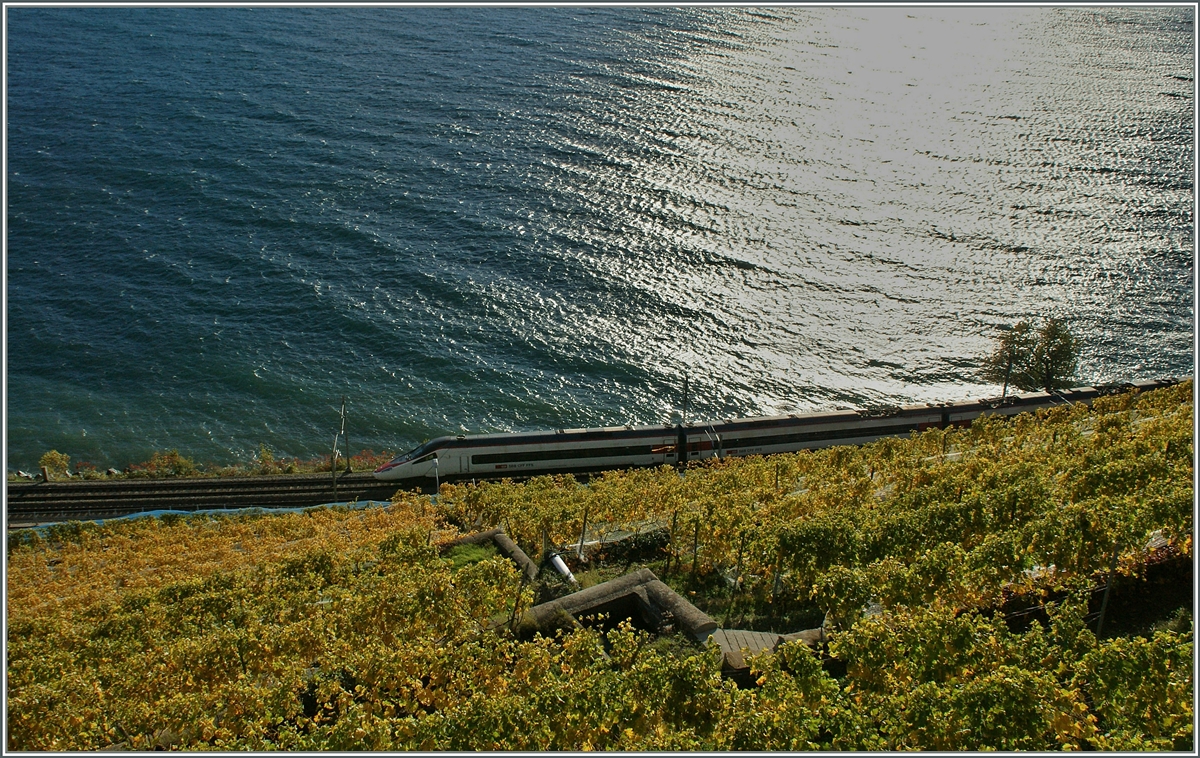 Herbst im Lavaux: Ein SBB ETR auf dem Weg nach Genève kurz vor nach Rivaz.
28. Okt. 2014