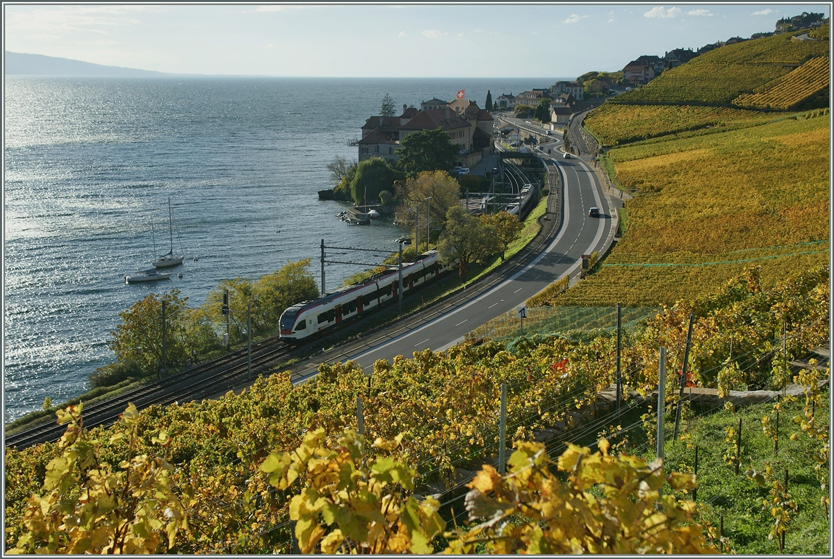 Herbst im Lavaux: Zwei Flirts auf dem Weg nach Villeneuve kurz nach Rivaz.
28. Okt. 2014 