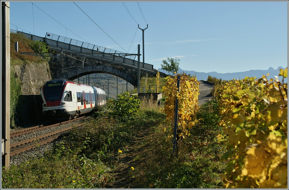 Herbstfotografie heisst für mich auch immer Gegenlichtfotografie: Ein SBB Flirt RABe 523 bei Cully auf dem Weg nach Villeneuve.
28. Okt. 2013