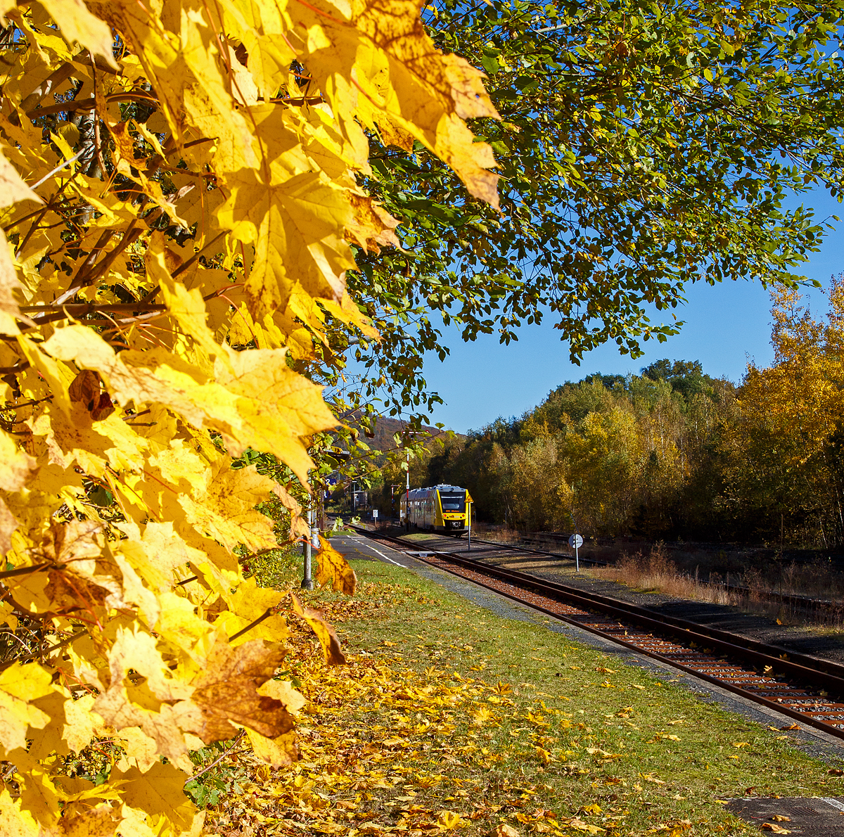 Herbstzeit oder Indian Summer in Herdorf.....
Der VT 507 (95 80 1648 107-8 D-HEB / 95 80 1648 607-7 D-HEB) der HLB (Hessische Landesbahn GmbH), ein Alstom Coradia LINT 41 der neuen Generation, am 24.10.2021 beim Halt im Bahnhof Herdorf. Er fährt als RB 96  Hellertalbahn  die Verbindung Betzdorf - Herdorf - Neunkirchen - Haiger - Dillenburg (Umlauf 61779).
