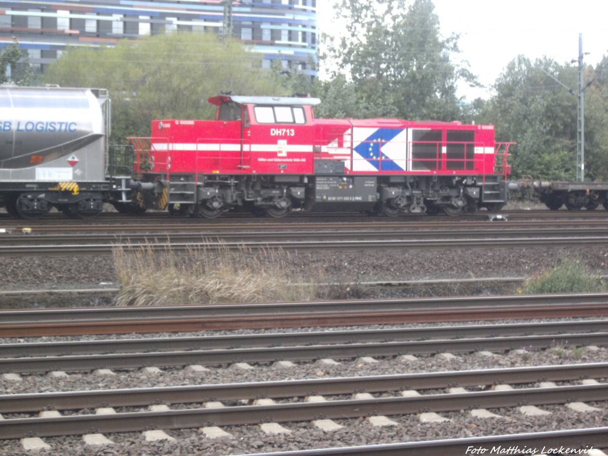 HGK DH713 (G1000BB / 271 033-3) abgestellt in Hamburg Wilhelmsburg am 31.8.13