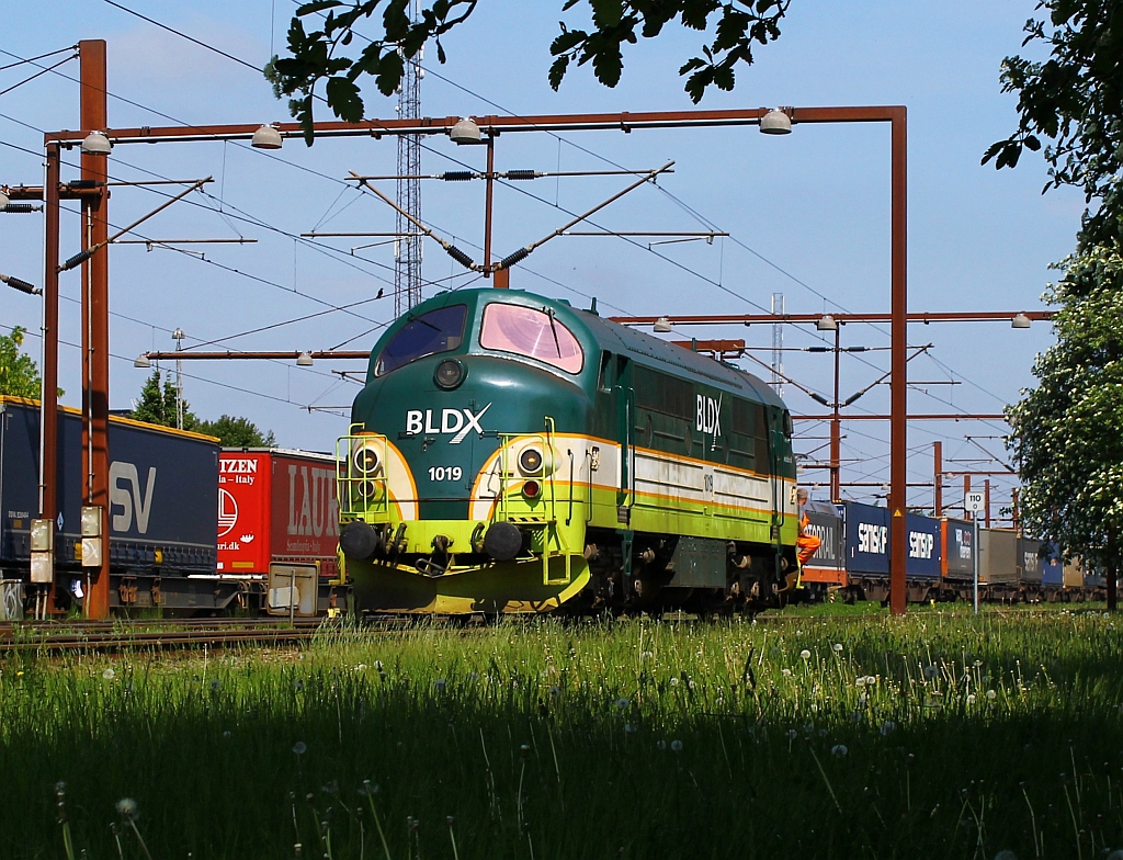 Hier nochmal die BLDX MX 1019 bei Rangierarbeiten festgehalten im Pbf/Gbf Padborg/DK. 01.06.2013