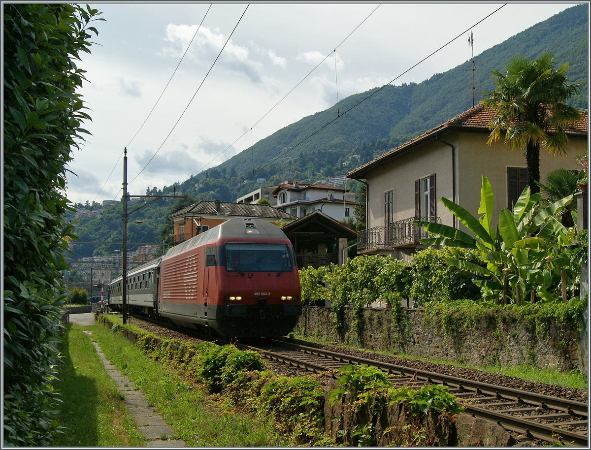 Im abendlichen Gegenlicht manöveriert die Re 460 062-3 in Locarno unter mediterraner Vegetation ihre Wagen an den IR Richtung Norden. 
21. Juni 2015