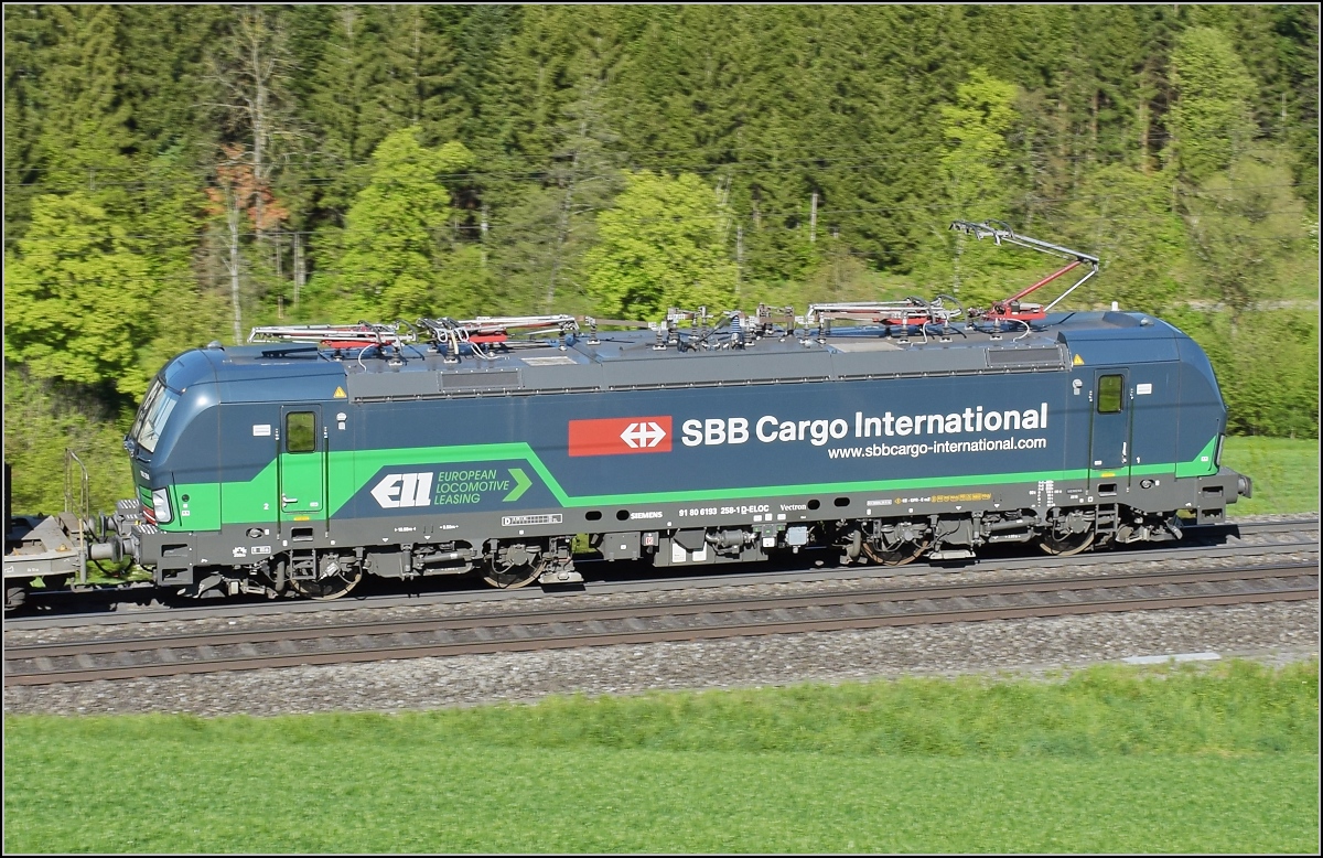 Im frischen Grün kann sich 193 258-1 fast verstecken. Zeihen, Mai 2017.