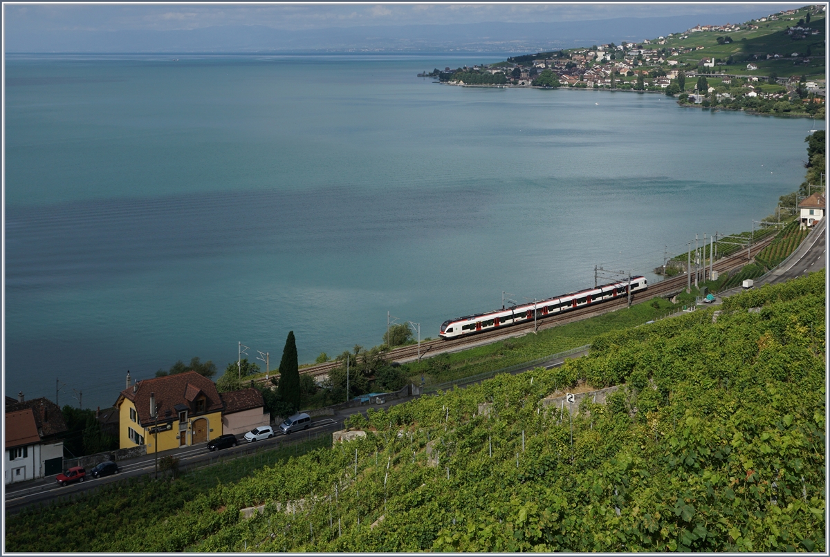 Im Scheinwerferlicht er Sonne: ein Flirt auf dem Weg nach Villenveue in der Nähe von Cully.
10. August 2016