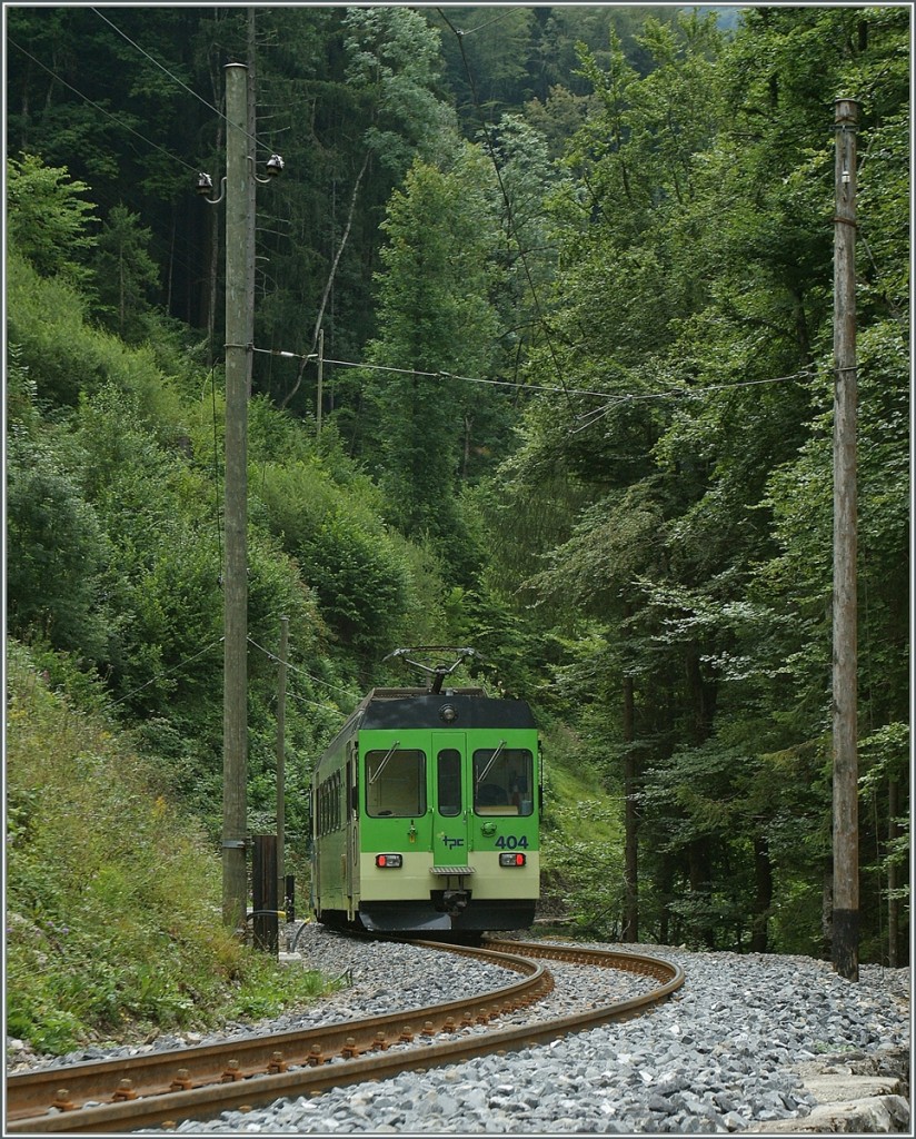 Im Wald bei Le Sepey konnte ich den ADS BDe 4/4 404 fotografieren.
5. Aug. 2011