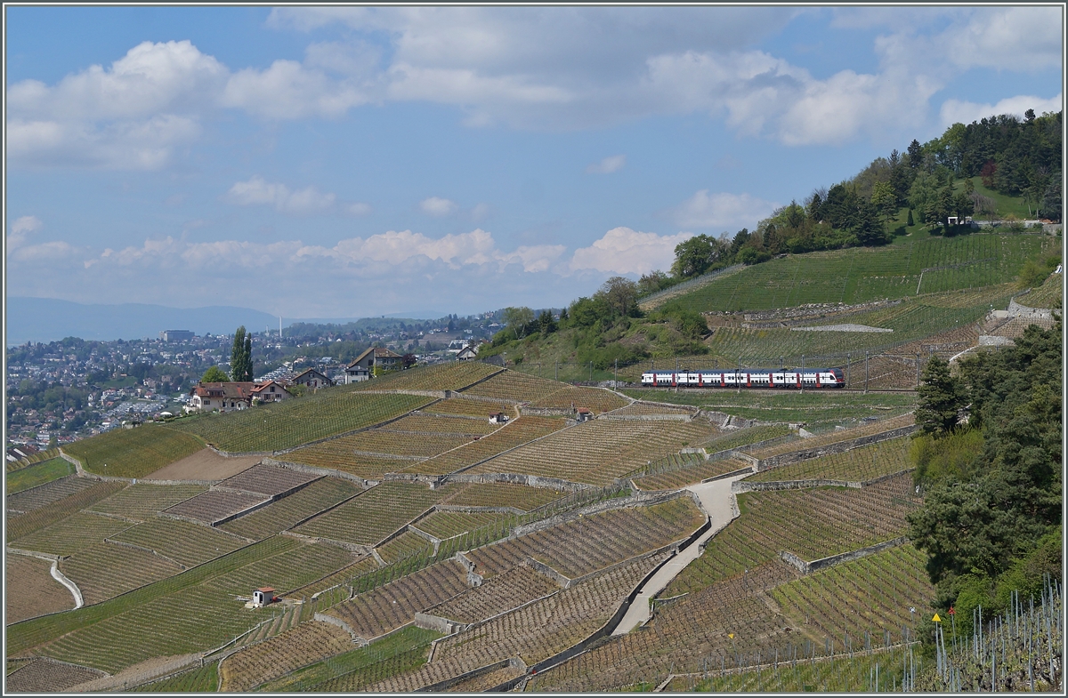 In den noch wenig grünen Weinbergne bei Grandvaux fährt ein RE 511 als RE von Romont nach Genève.
23. April 2014