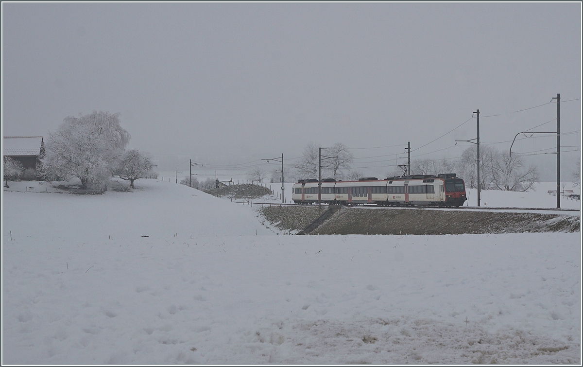 In weiten Kurven windet sich das Trasse der Strecken von Romont nach Vuisternens-devant- Romont, um die gut achzig Höhenmeter zu überwinden. Doch dies geht im Nebel des dunklen Wintertages unter, nur knapp lässt sich ein SBB RBDe 560  Domino  erkennen, die nun im Wechsel mit den TPF Flirts RABe 527 auf der Strecken Bulle - Düdigen und Bulle - Bern zum Einsatz kommen. Einige SBB RABE 560 tragen sogar das TPF  Farbkleid ; leider habe ich bisher noch keinen fotografieren können.

22. Dezember 2021