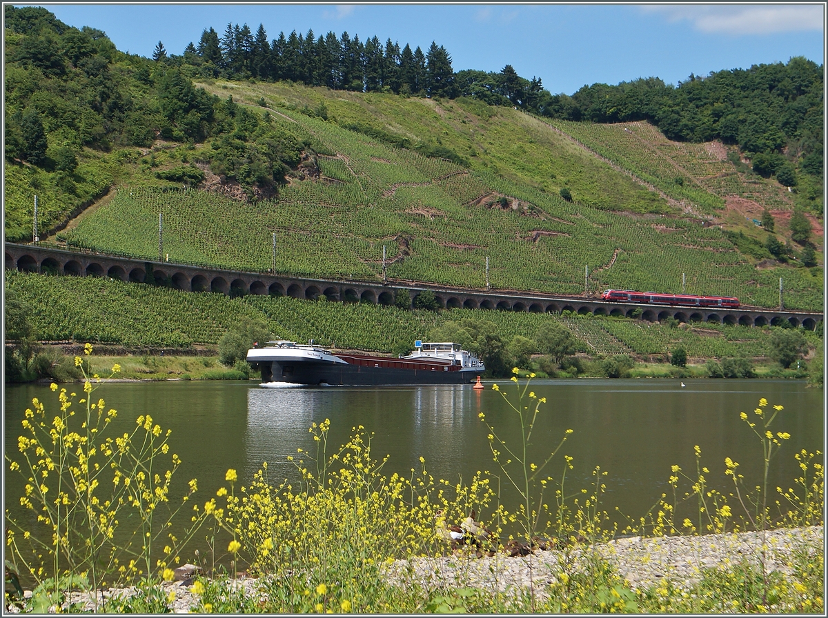 In der zauberhaften Mosellandschaft ist der  Hamster  auf dem Pündericher Hangviadukt kaum zu sehen.
21. Juni 2014