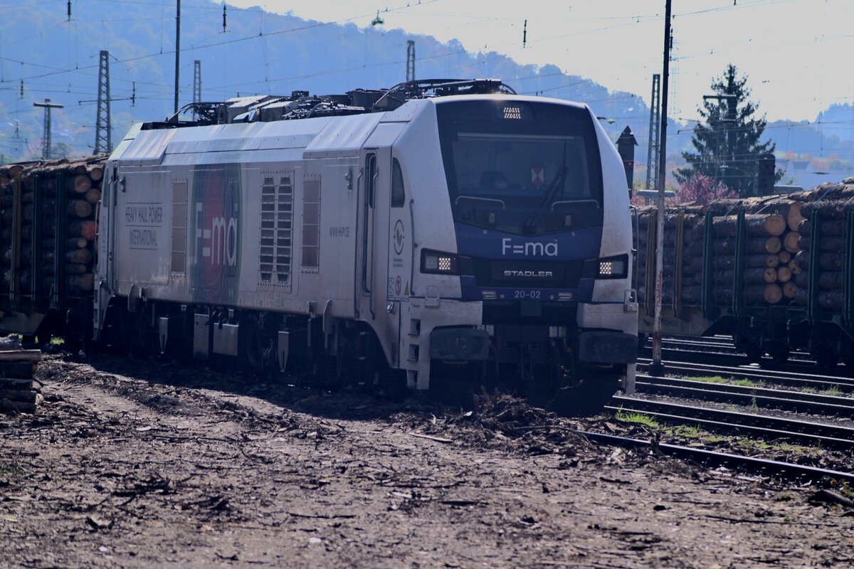 Ins Gegenlicht aufgenommen ist die Stadler Dual von HHPI an der Holzverladung in Neckarelz. 14.10.2025