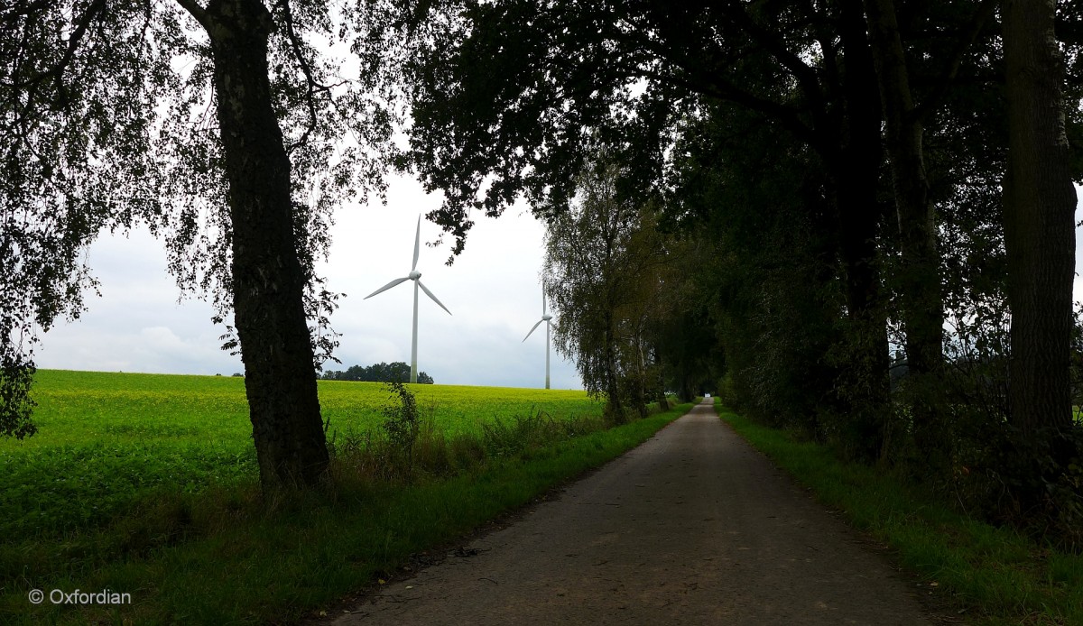 Jettebruch im Heidekreis, Wirtschaftsweg und Windräder.