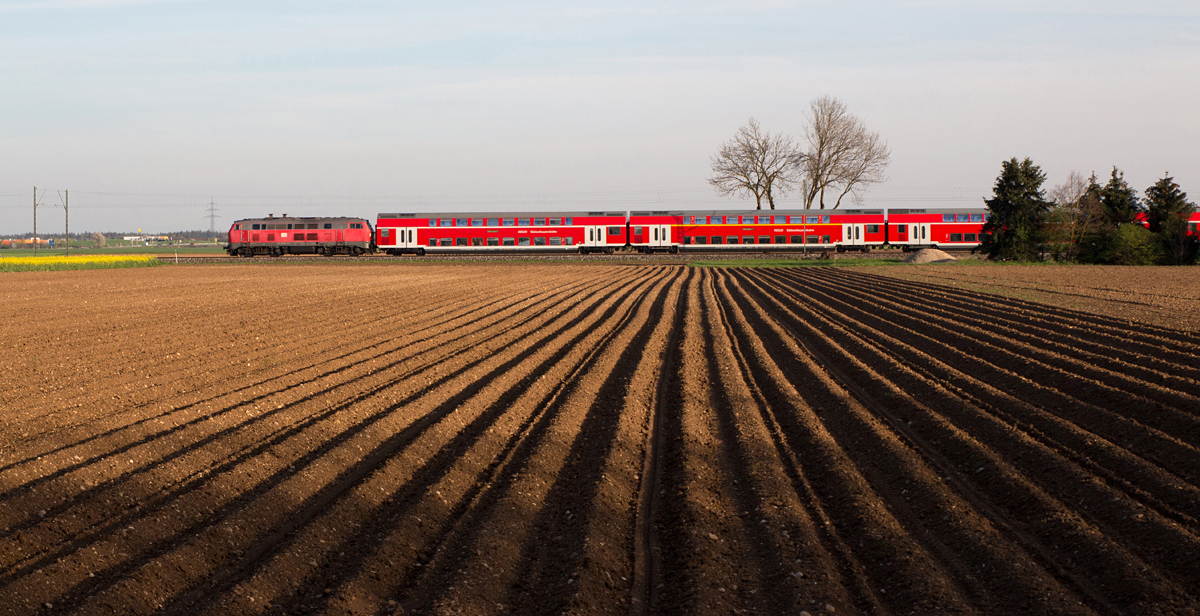 Kartoffel-Furchen im Halbschatten zog ich am 21.04.16 zwischen Heimstetten und Grub dem blühenden, ungünstig gelegenen Rapsfeld vor, als eine 218.4 mit ihrem Doppelstockzug von München Hbf nach Mühldorf ihren nächsten Halt in Markt Schwaben anstrebte. 