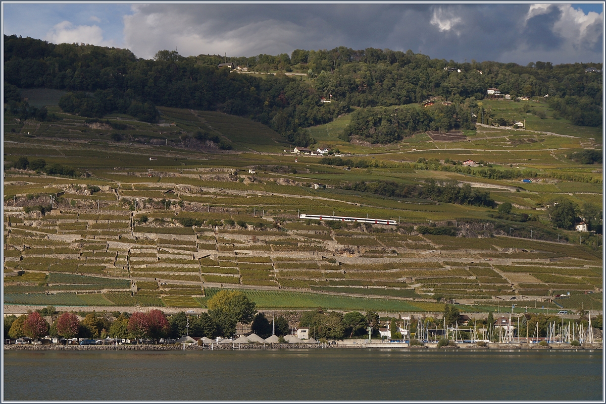 Klein, aber mitten im Bild ist ein Domino-Zug auf der Train des Vignes Strecke (Weinbergstrecke) oberhalb vom nahen St-Saphorin zu erkennen. 

1. Okt. 2019