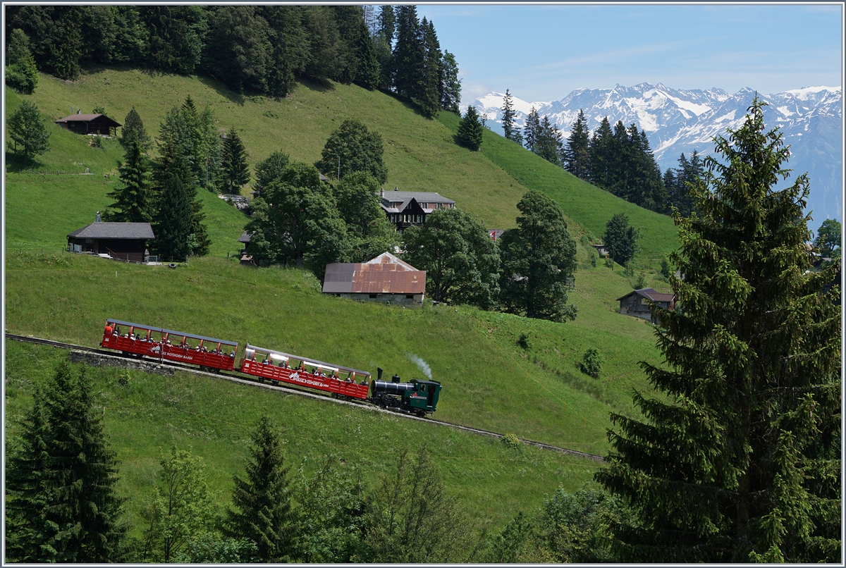Kurz unterhalb von Planalp zeigt sich dieser talwärts fahrende BRB Dampfzug.
7. Juli 2016