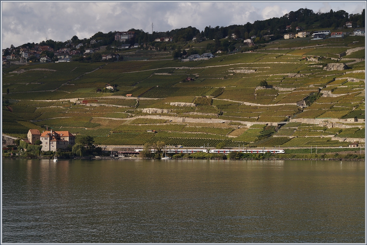 Lavaux, bei Rivaz mit zwei Flirt RABe 523 auf dem Weg in Richtung Villeneuve. 

1. Okt. 2019