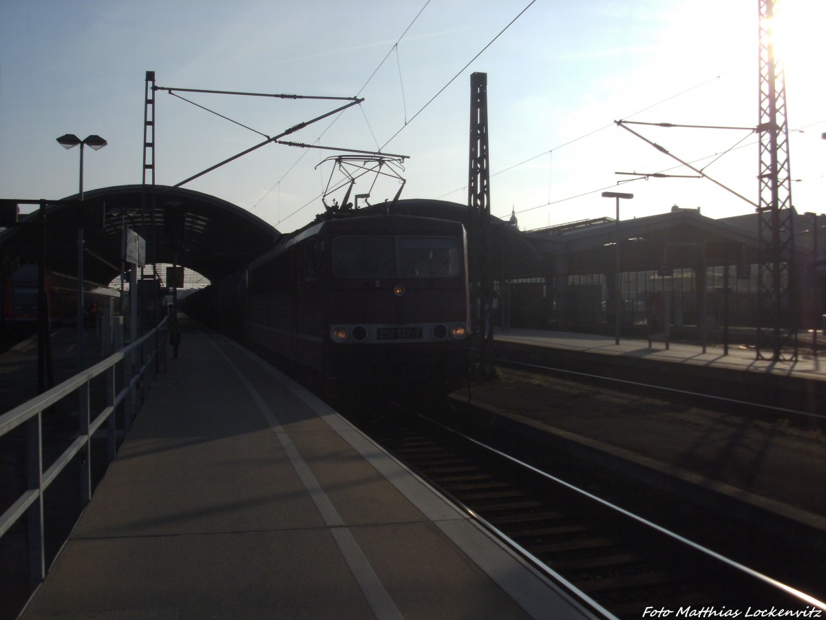 LEG 250 137 beim Halten im Bahnhof Halle (Saale) Hbf am 27.11.14