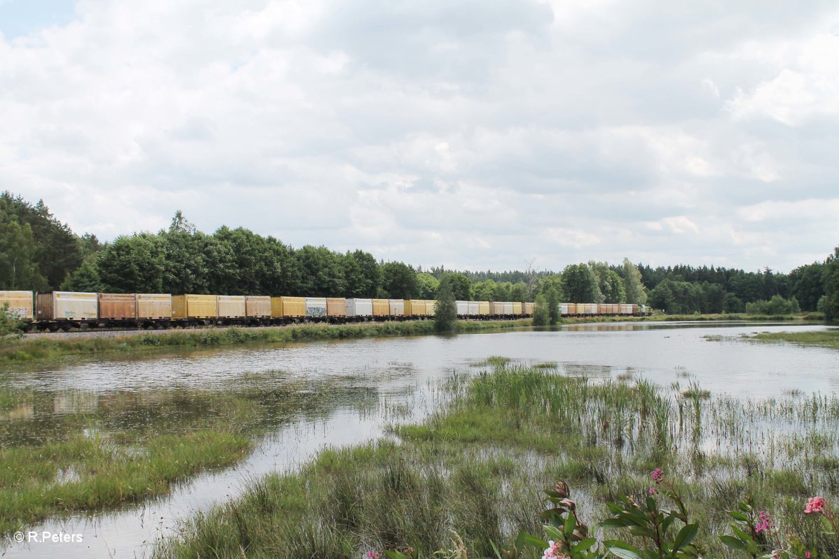 Leider aus der Falschen Richtung rollte 277 004 alias V1700.03 mit einem Hackschnitzelzug aus Wiesau nach Regensburg an mir vorbei. 09.07.16