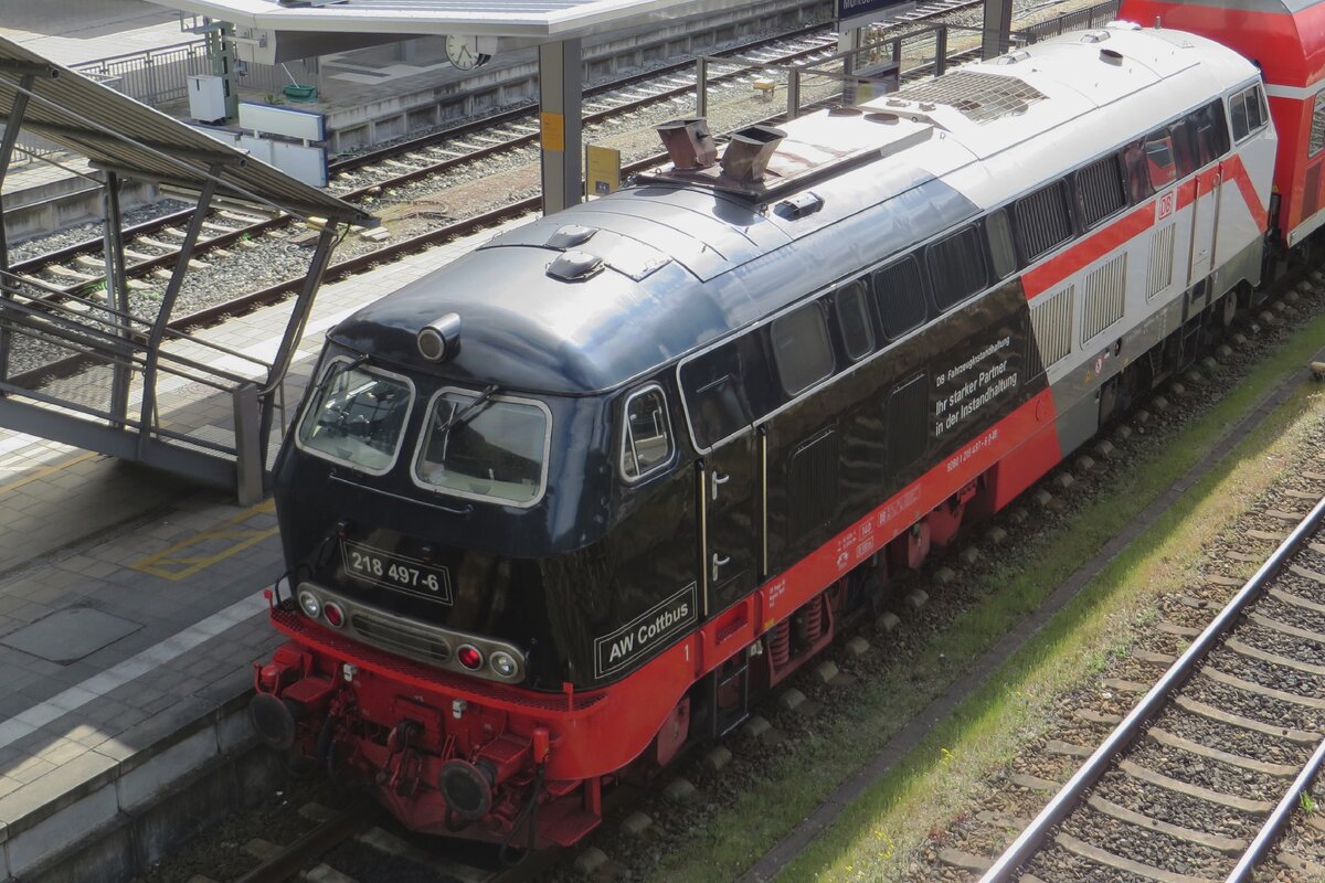 Leider mit etwas gegenlicht steht 218 497 'Bw Cottbus' am 18 Mai 2023 in Mühldorf.