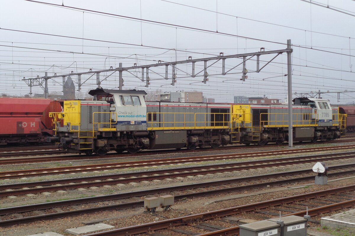 Lineas 7866 wirbt fr der Modal Shift ins Gterverkehr am 23 Mrz 2019 in Venlo.