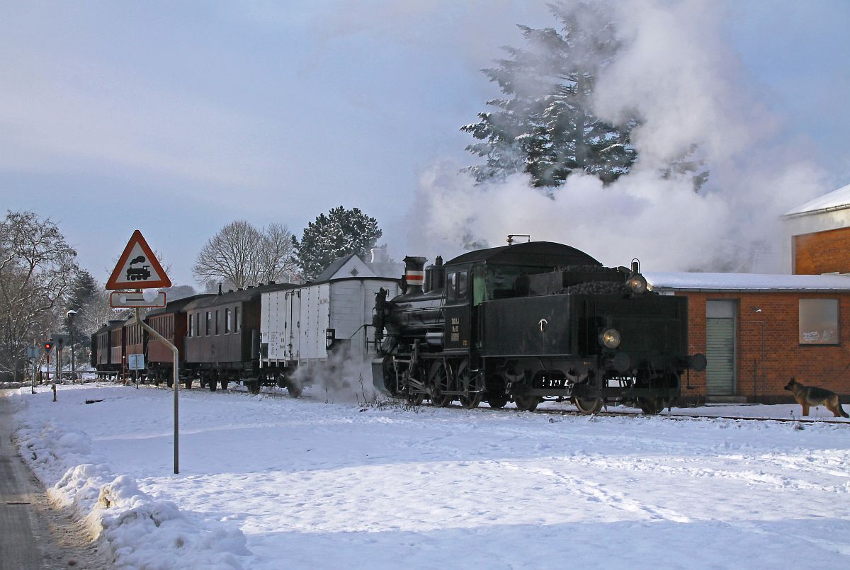 Lok Nr. 12 der Trolhede-Kolding-Vejen-Jernbane (TKVJ) mit Museumszug des Sydjyllands Veterantog
bei der Einfahrt in den Bahnhof Hadersleben/Haderslev-Vest 18.12.2022