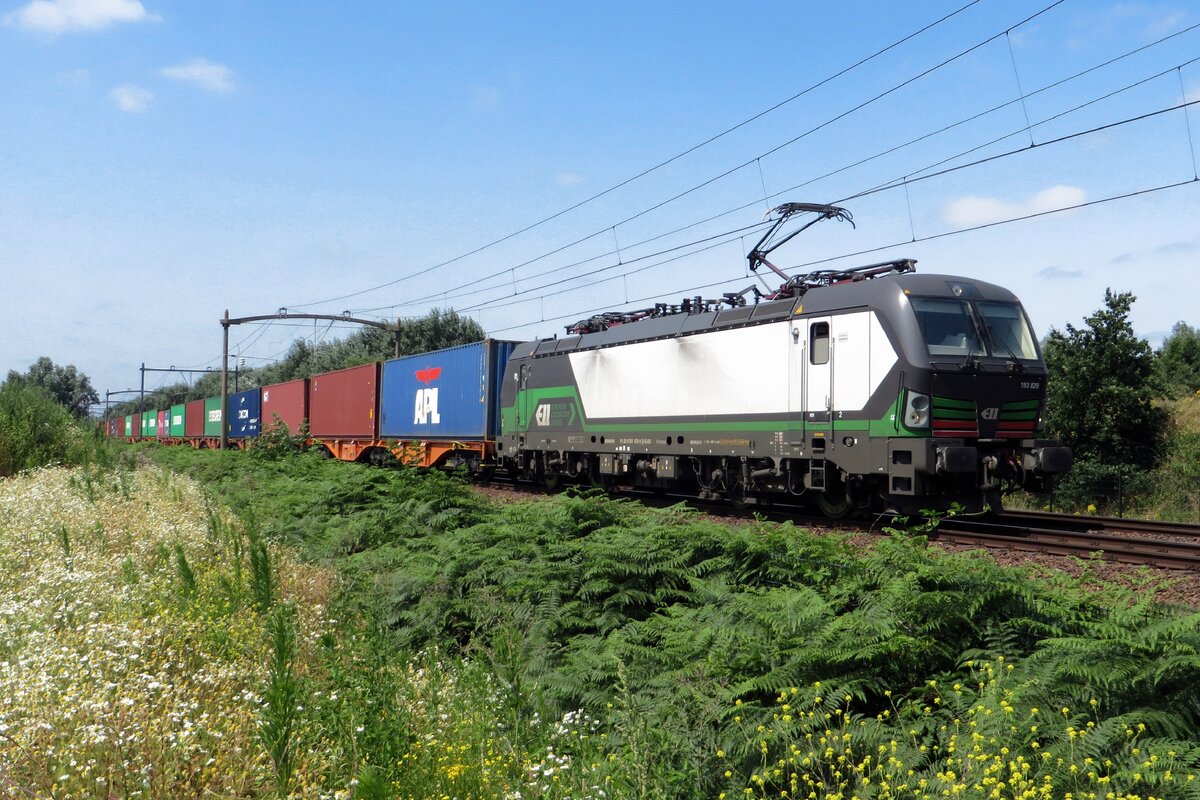 LTE 193 829 passiert Tilburg-Reeshofs Quasi-naturgebiet am 23 Juli 2021.