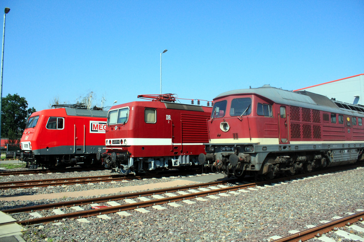 MEG 156 XXX, 243 005 und 130 101 beim Tag der offenen Tr in Dessau am 31.8.19