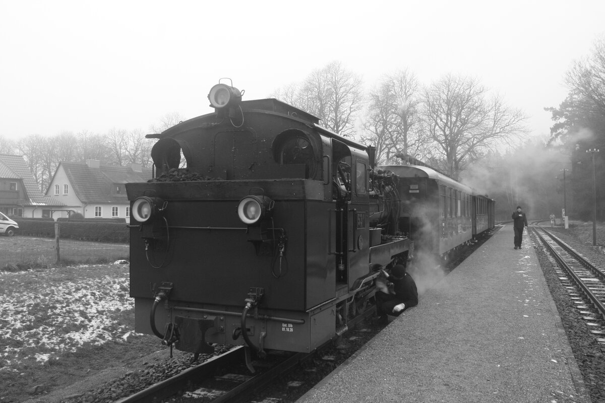 Mh53 mit dem Sonderzug im Bahnhof Garftitz am 30.12.21