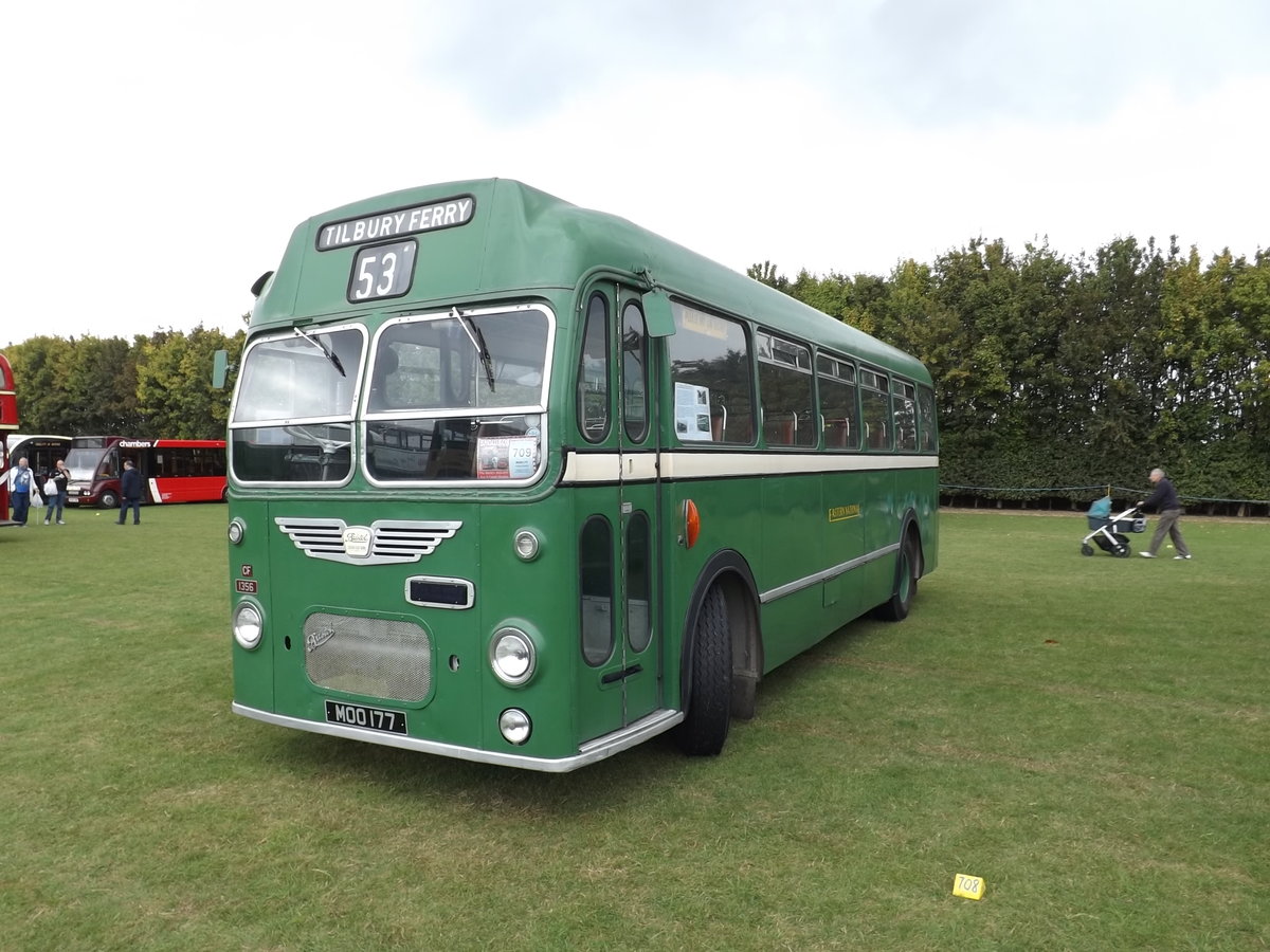 MOO 177
1962 Bristol MW6G
ECW B45F
New to Eastern National, carrying fleet number 556.

Pictured at  Showbus , Imperial War Museum, Duxford, Cambridgeshire, England on Sunday 21st September 2014.