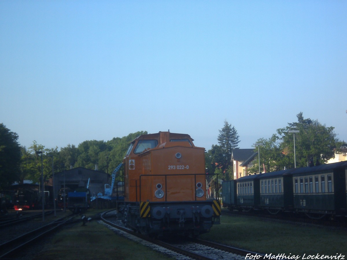 MTEG 293 022-0 abgestellt im Bahnhof Putbus am 25.5.14