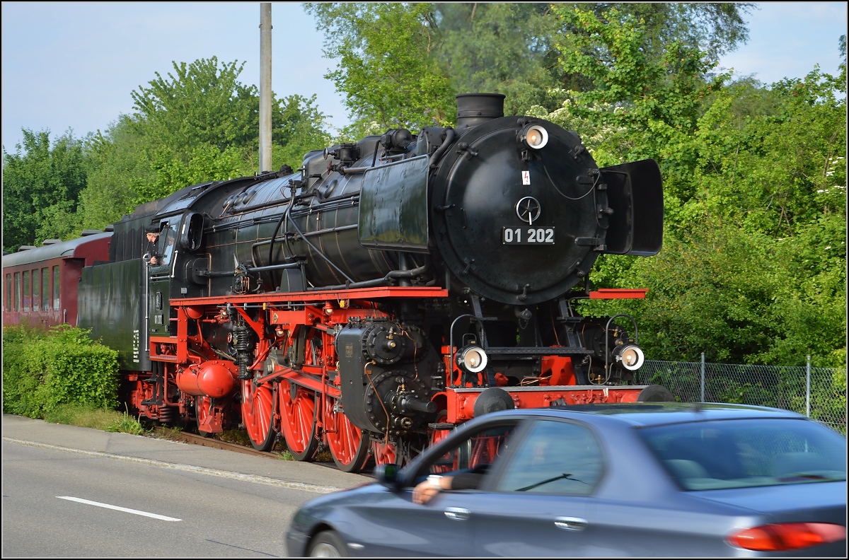 Nach getaner Arbeit, die Wgen werden auf den Gleisen, die einst dem Trajektverkehr dienten, abgestellt. Der Autofahrer kann seine Ungeduld kaum bremsen und fhrt trotz noch immer gezeigter roter Flagge der Posten rasant am Zug vorbei. Romanshorn, Mai 2015.