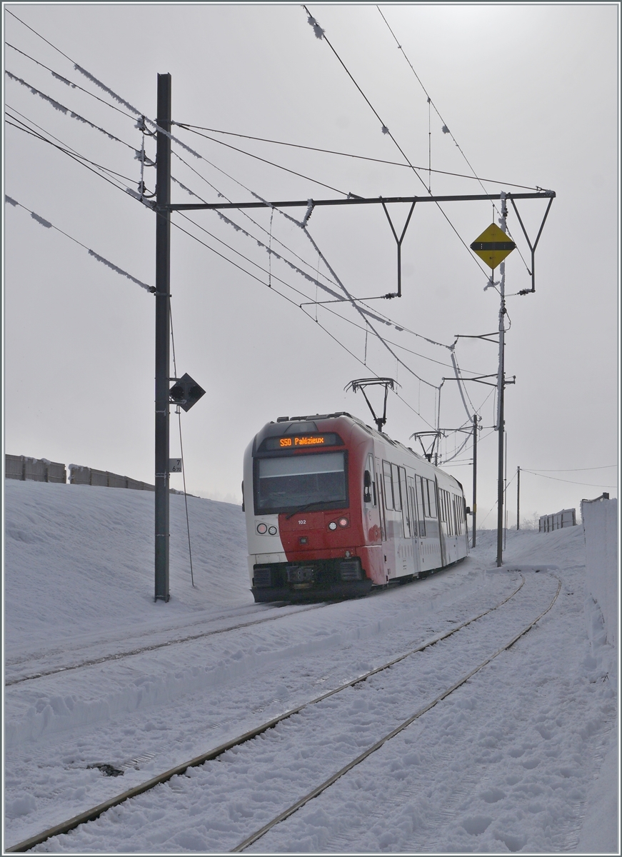 Nach der vollzogenen Kreuzung fährt der TPF SURF ABe 2/4 - B - Be 2/4 102 nach Palézieux weiter. 

22. Dezember 2021  