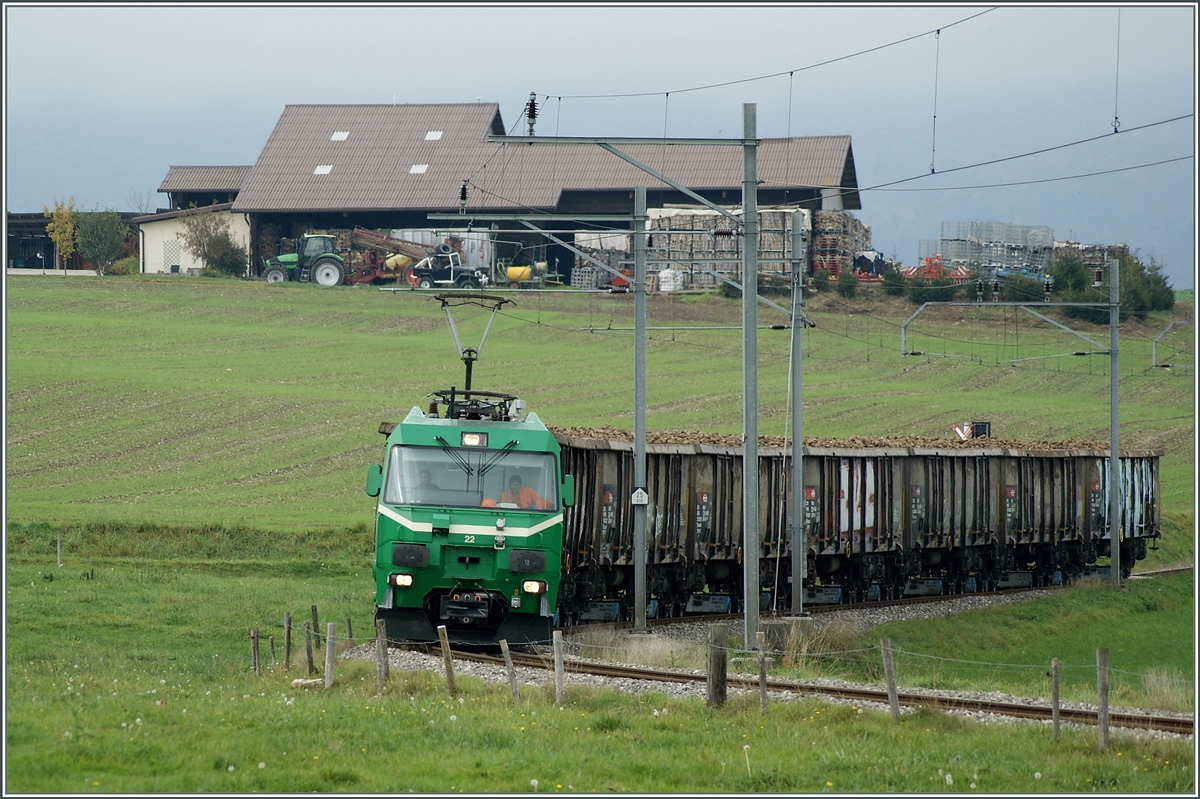 Nachdem alle sieben Eaos mit Zuckerrben gefllt sind, fhrt die Ge 4/4 22 Richtung Morges.
Bei Mauraz, den 10. Okt. 2014
