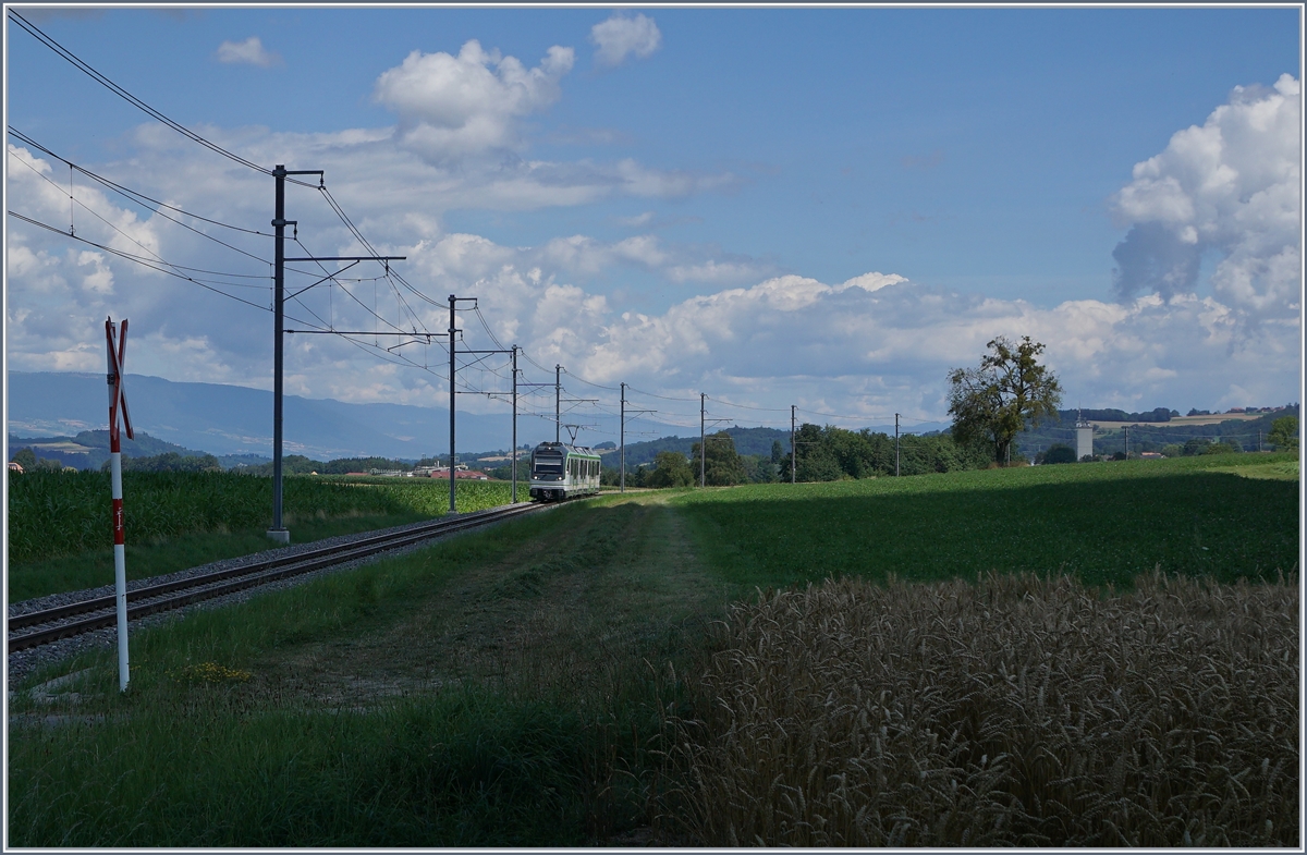 Nachdem ich nach etlichem Hin und Her eine bestens geeignete Stelle gefunden hatte, kam der Zug UND die Fotowolke... Der neue LEB Be 4/8 61 von Bercher nach Lausanne Flon unterwegs kurz vor Fey.

25. Juli 2020