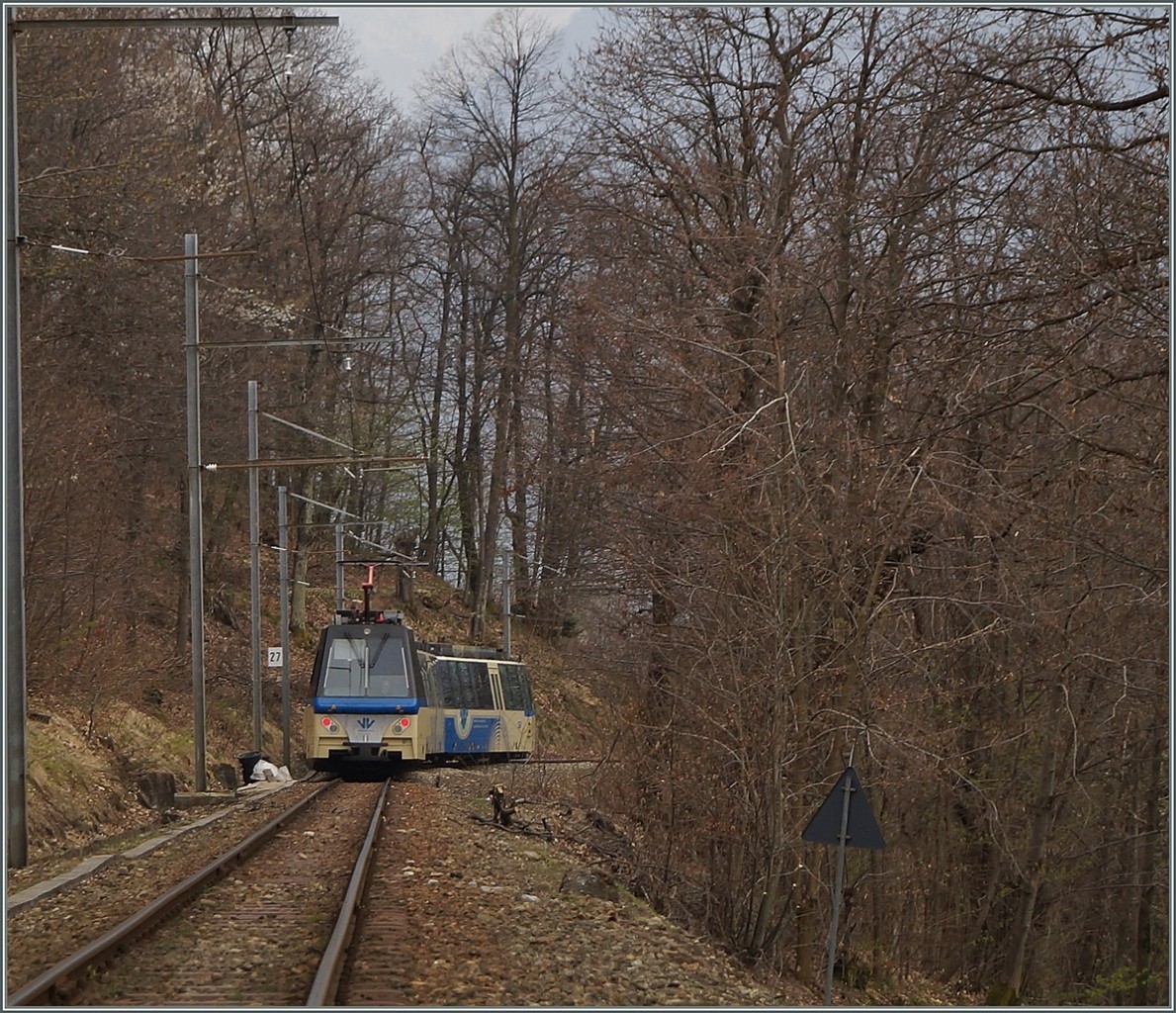 Nachschuss II auf den SSIF Treno Panoramico bei Verigo.
Standort: Bahnbergang.
3. April 2014