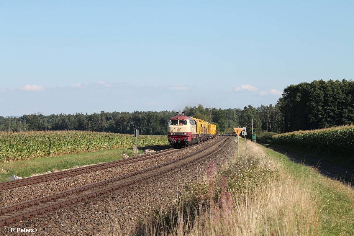 NeSa 218 105 beehrte uns mal wieder mit ein Bauzug/Speno und kam bei Oberteich in Richtung Hof durch. 28.08.17