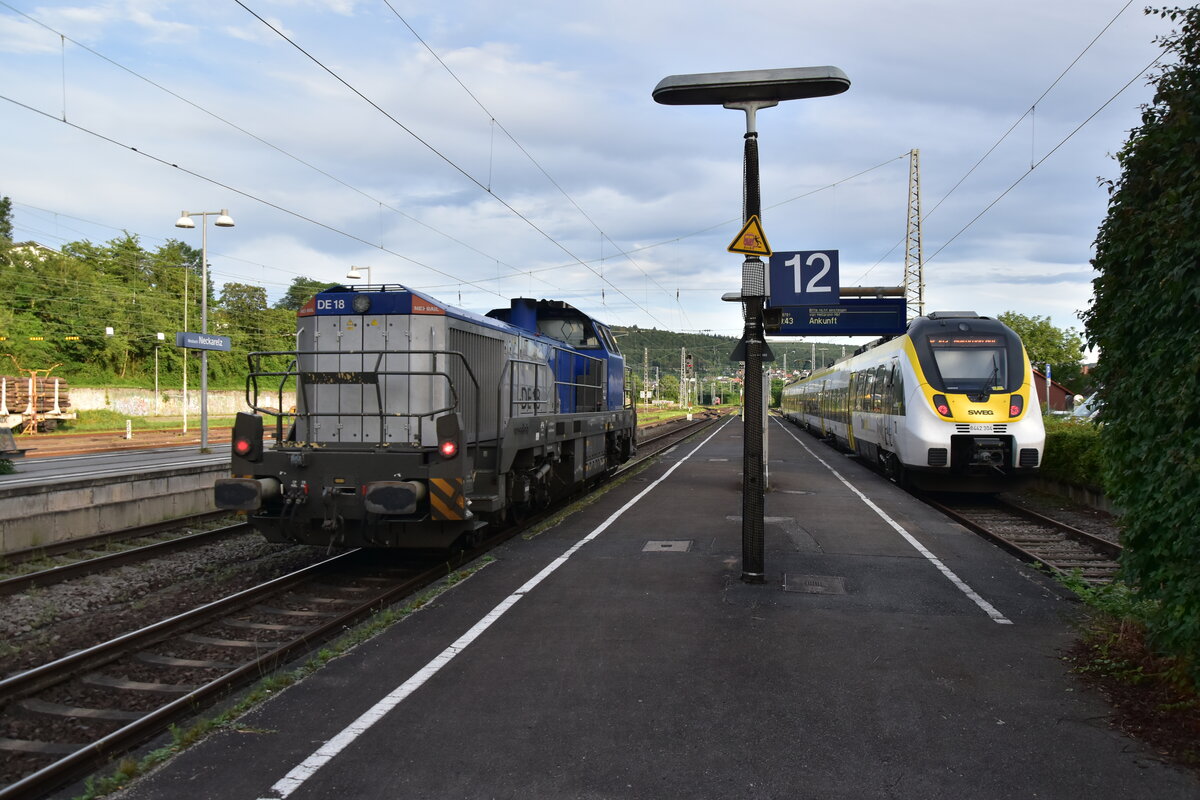 NEX RAIL DE18 4185 018 und SWEG 8442 305 begegnen sich in Neckarelz am 5.7.2024