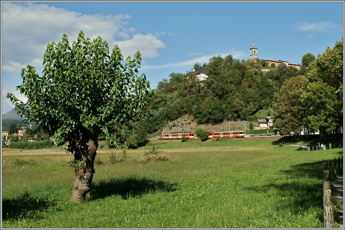 Nicht nur Computermuse im Doppelpack, auch dreiteilige FLP Zge passen nicht immer komplett aufs (Landschafts)-Bild. 
Bei Sorengo Laghetto am 12. Sept. 2013