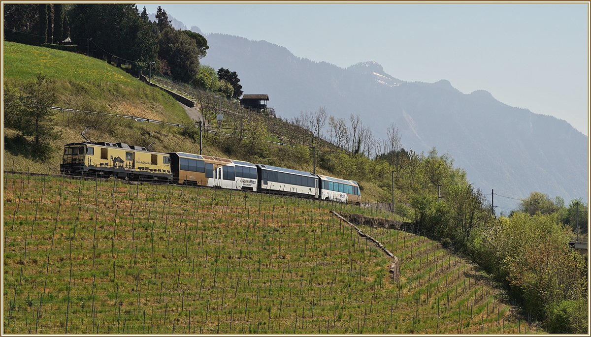 Noch richtig  goldig  zeigt sich bei Planchamp noch Mitte April dieser MOB Zug auf der Fahrt in Richtung Montreux. Gemäss Fahrplan hätte zu dieser Zeit eigentlich ein  MOB Belle Epoque  Zug fahren sollen, doch durch die Umstellung der Fahrzeuge auf die automatische Kupplung kam 
es in diesem Jahr vermehrt durch Änderungen im Umlauf der Kompositionen. 

14. April 2020