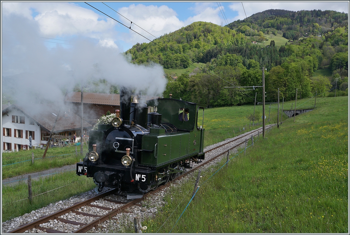 Nostalgie und Dampf 2021 - so das Thema des diesjährigen Pfingstfestivals, und von beidem gab es reichlich; hier schon mal ein Bild der G 3/3 N° 5 (ex LEB) die als Lokfahrt von Chaulin nach Blonay unterwegs ist.

22. Mai 2021