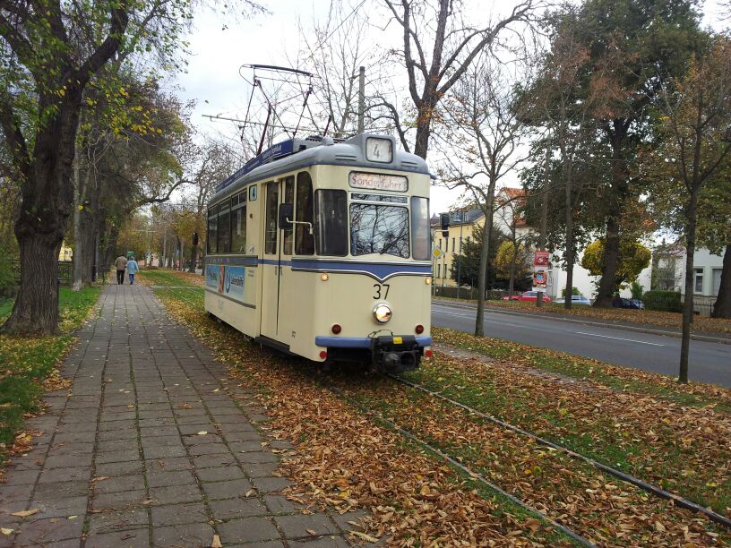 NTB 37 als Sonderfahrt Richtung Theaterplatz, am 26.10.2013 am Marienring. (Foto: privat)