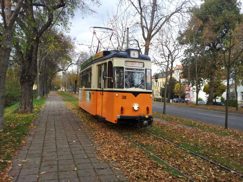 NTB 38 als Sonderfahrt Richtung Theaterplatz, am 26.10.2013 am Marienring. (Foto: privat)