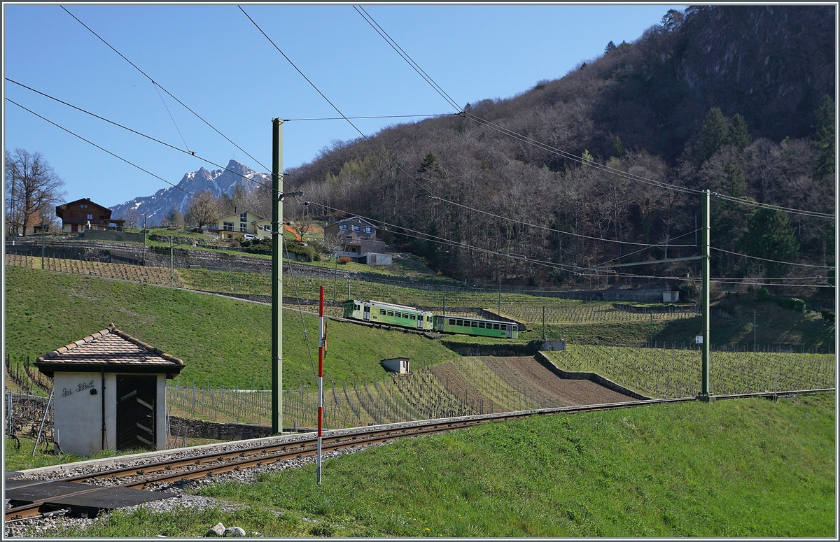 Oberhalb von Aigle ist ein ASD Regionalzug auf dem Weg nach Les Diablerets. 

30. März 2021