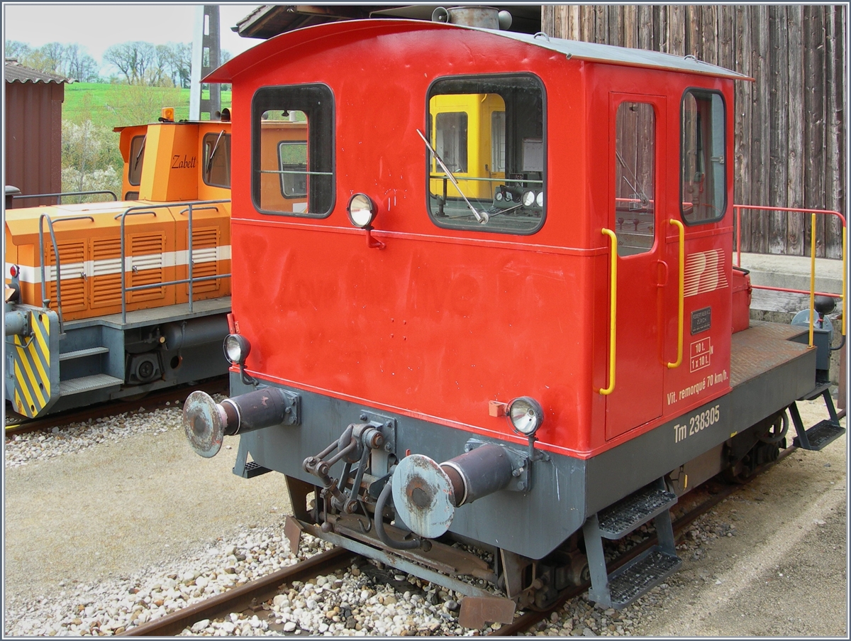 Obwohl die Spitzmaus eher klein ist, hat sie doch kaum aufs Bild gepasst: der PBr 238 305 in Orbe. 
26. April 2006