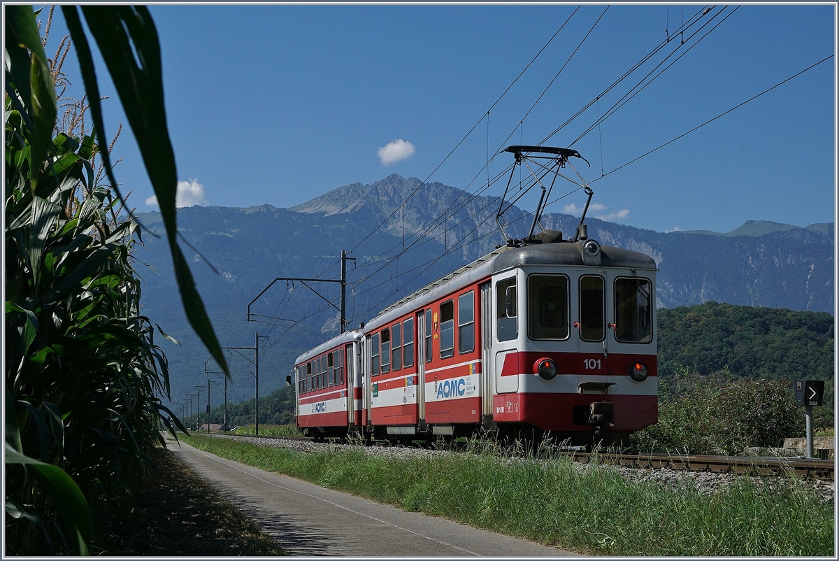 Obwohl vor einiger Zeit von Eisenbahnfreunden verabschiedet, erfreut sich der AOMC Be 4/4 101 mit seinem Bt 132 weiterhin an Planfahrten zwischen Aigle und Monthey.
Bei Villy, den 26. August 2016