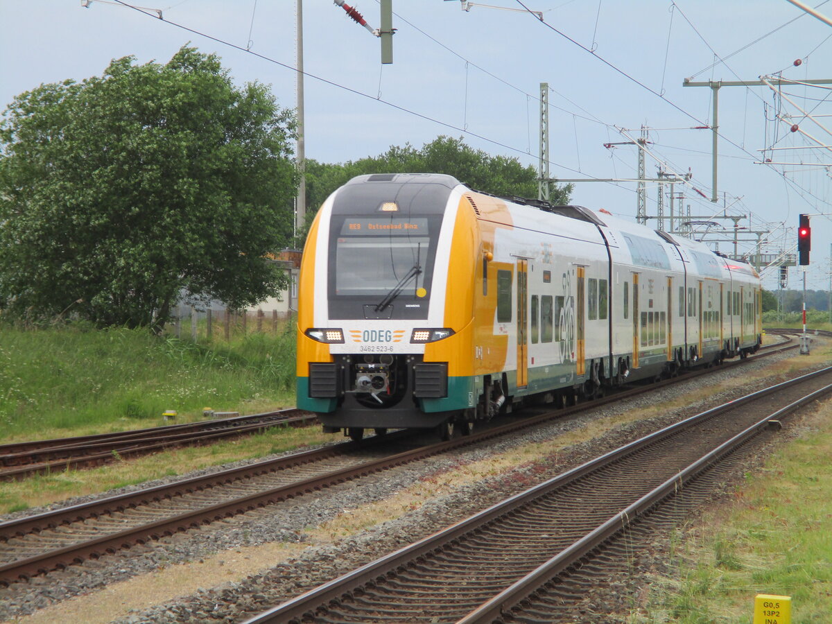 ODEG 462 523,als RE Stralsund-Binz,am 15.Juni 2024,bei der Einfahrt in Bergen/Rügen.